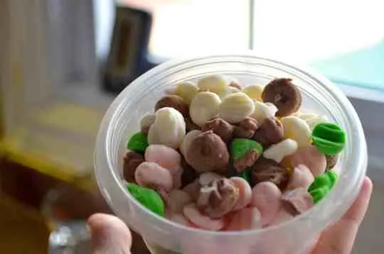 Greek Yogurt Chocolate Chips