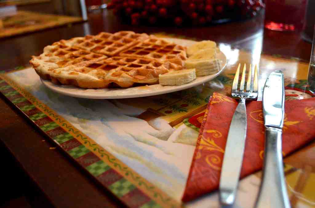 low carb chocolate chip waffle