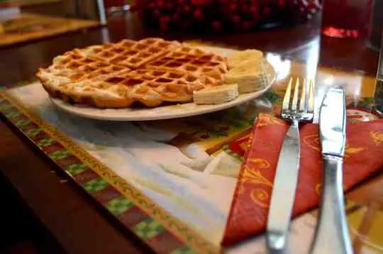 low carb chocolate chip waffle