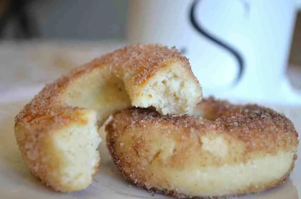 keto cinnamon sugar donuts