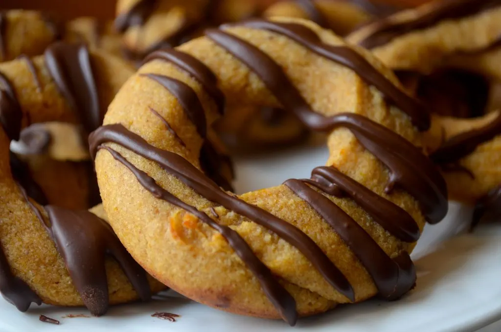 keto chocolate pumpkin donuts