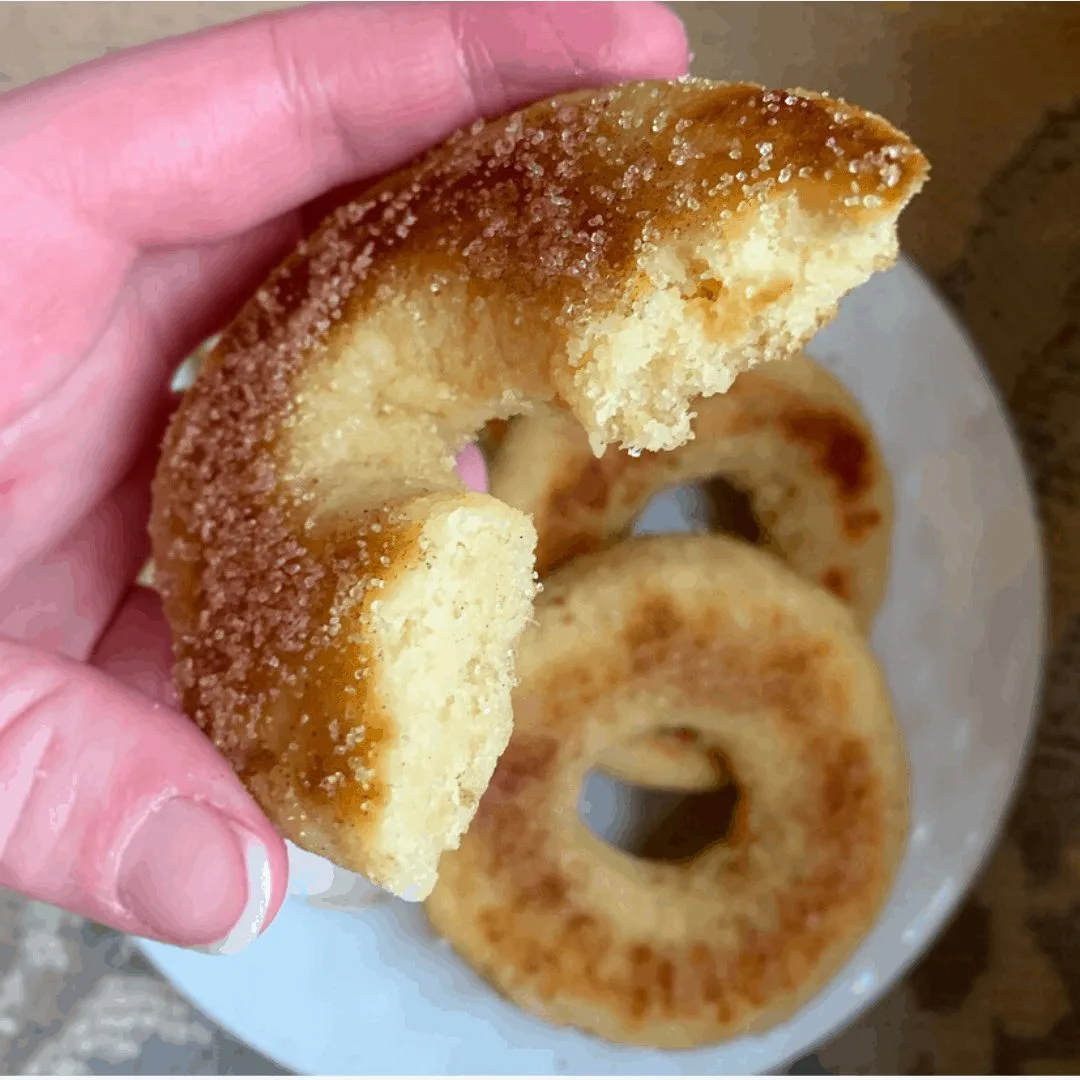keto cinnamon sugar donuts