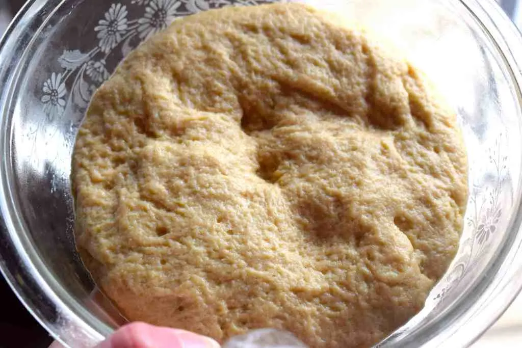 keto vital wheat gluten bread dough