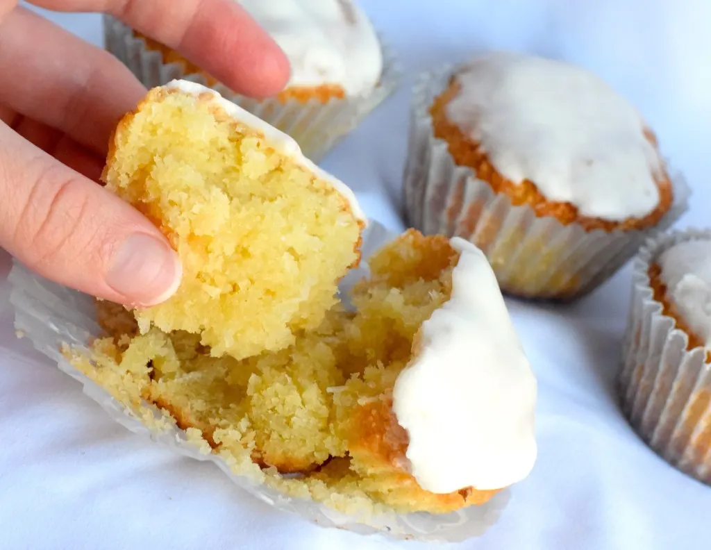 low carb coconut muffins 
