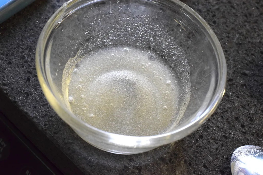 gelatin and water gelatin and water