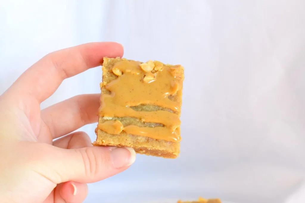 low carb peanut butter bars