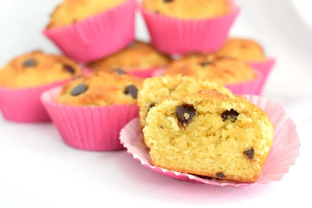 gluten free chocolate chip muffins recipe