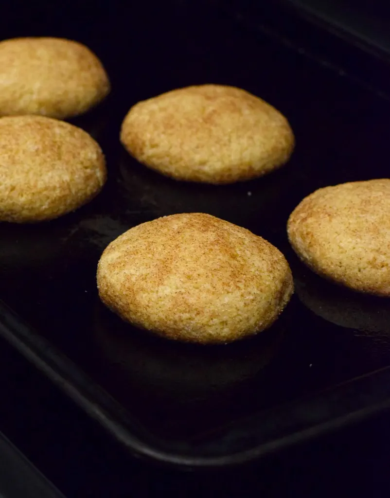 keto cinnamon sugar cookies keto cinnamon sugar cookies