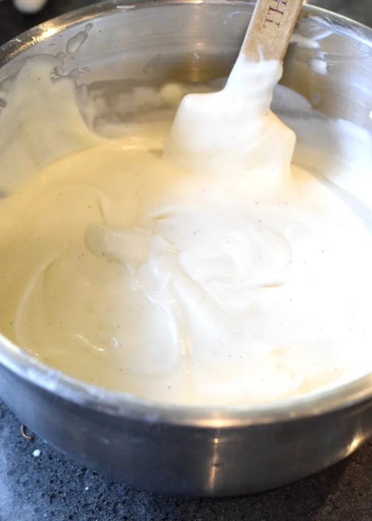 keto vanilla soft serve ice cream
