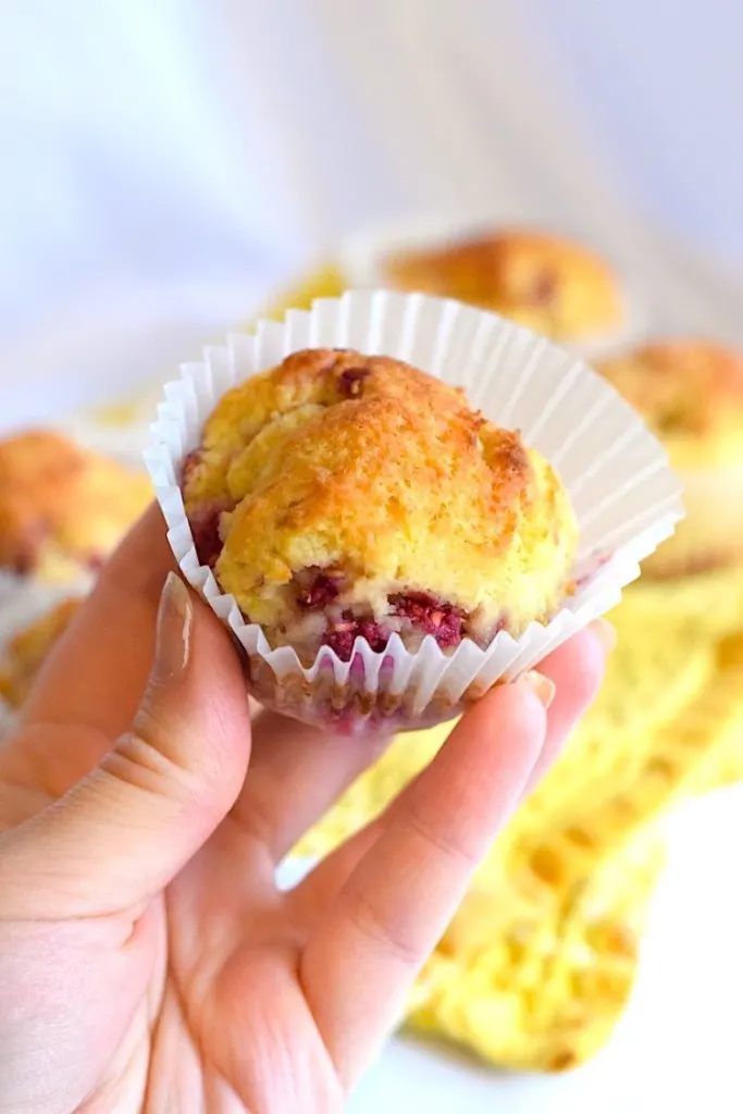 sugar free low carb lemon raspberry muffins