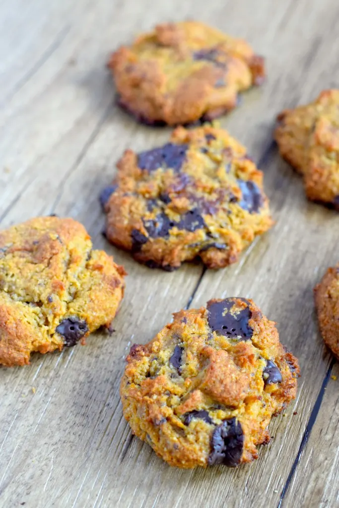 low carb sugar free pumpkin chocolate chip cookies