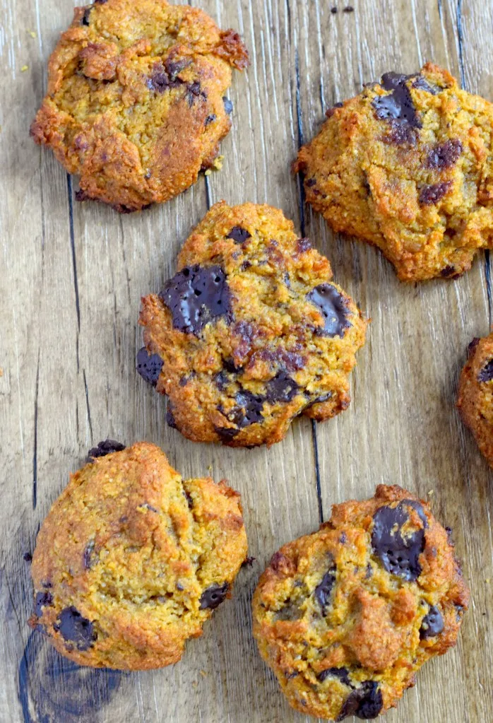 low carb pumpkin chocolate chip dessert
