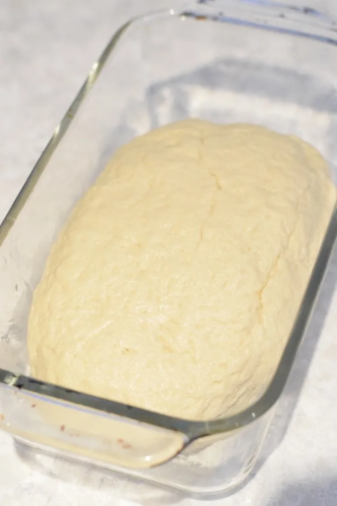 low carb yeast bread dough