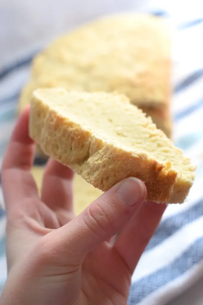 vital wheat gluten bread recipe