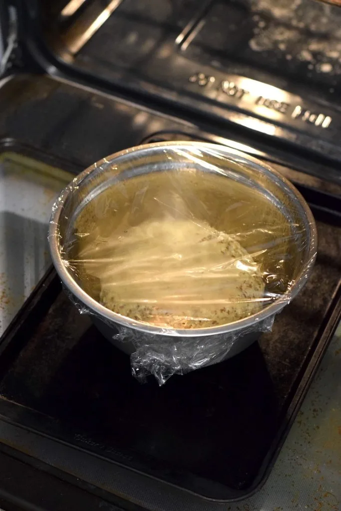 low carb yeast pizza dough