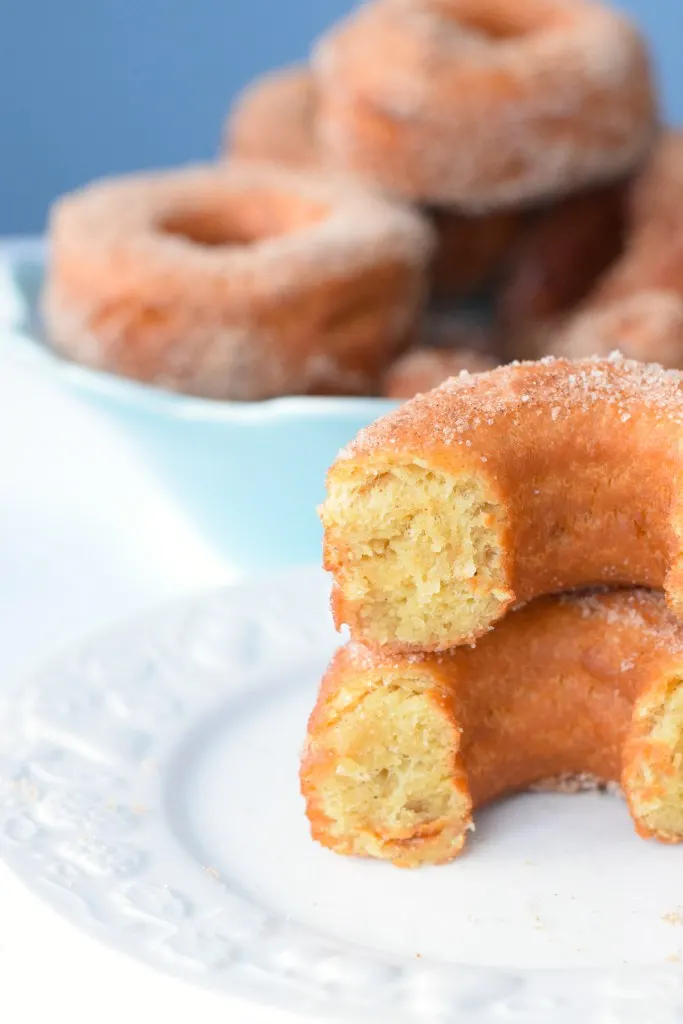 low carb cinnamon donuts