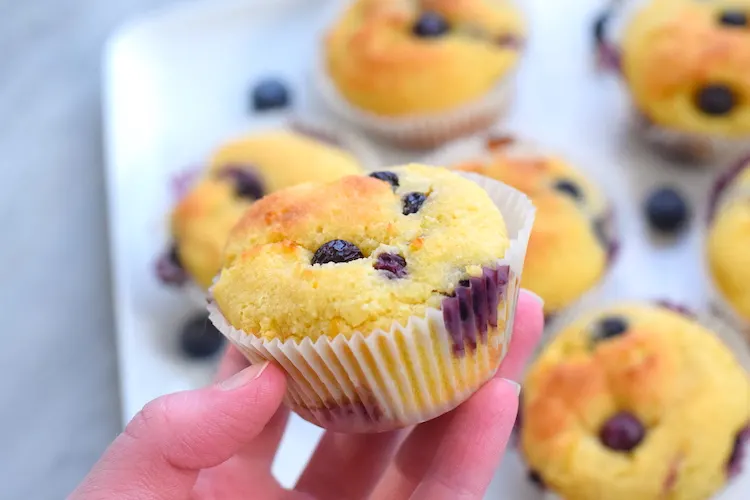 keto blueberry muffin recipe