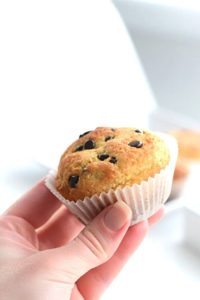 keto chocolate chip muffins