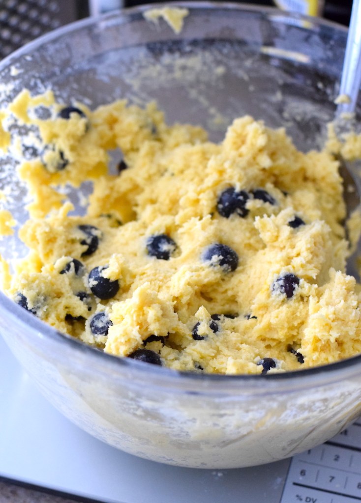 low carb blueberry muffin batter