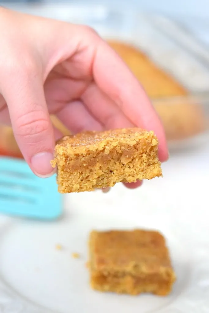 almond flour snickerdoodles