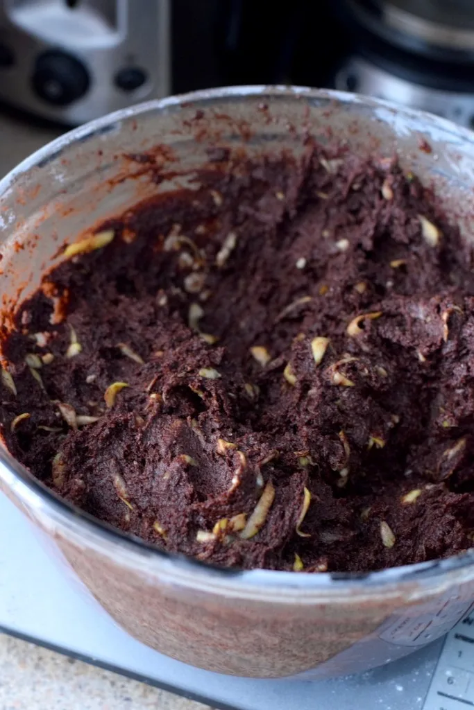 keto chocolate zucchini batter