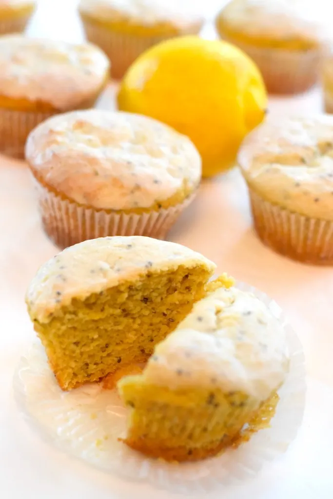 keto bread and pastry flour muffins