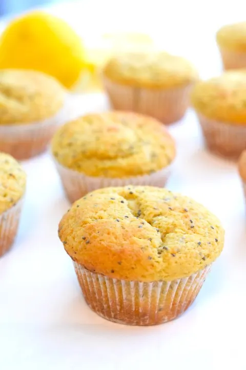 keto lemon chia seed muffins